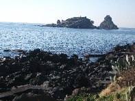 i Trezza-20110311 002